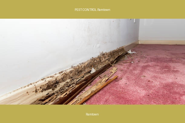 PEST CONTROL Ramtown